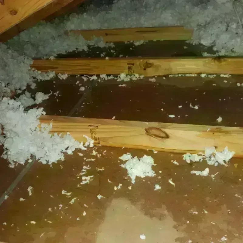 Attic Water Damage in Cameron, WI