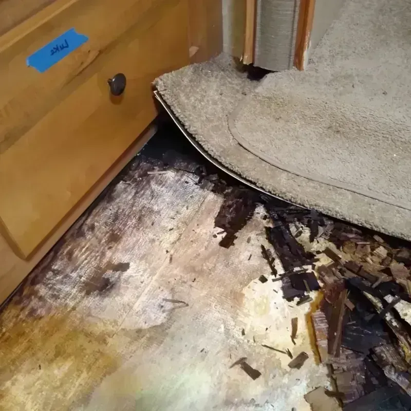 Wood Floor Water Damage in Cameron, WI